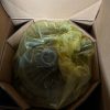 KIT EMBRAYAGE NEUF  MERCEDES ACTROS MP2-MP3   AXOR      0232507501